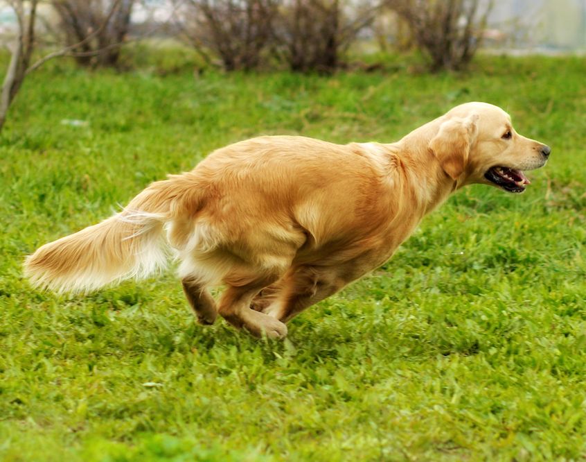 Question of the Week